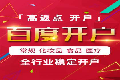SEO百度推广策略：成功案例解析